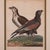 John Pass After Reinhold Eagle Engravings, c.1805 For Sale - Image 4 of 6