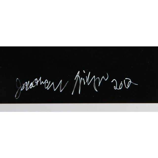 Red Tulip Jonathan Singer American (1949–2019) Date: 2008 Metallic Chromogenic Print Image Size: 53 x 40 inches Size: 53 x...