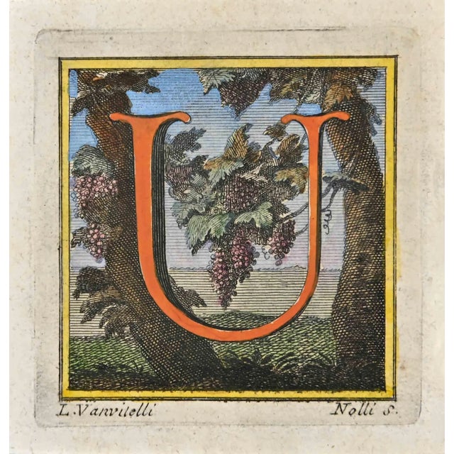 Letter of the Alphabet U from the series "Antiquities of Herculaneum", is an etching on paper realized by Luigi Vanvitelli...