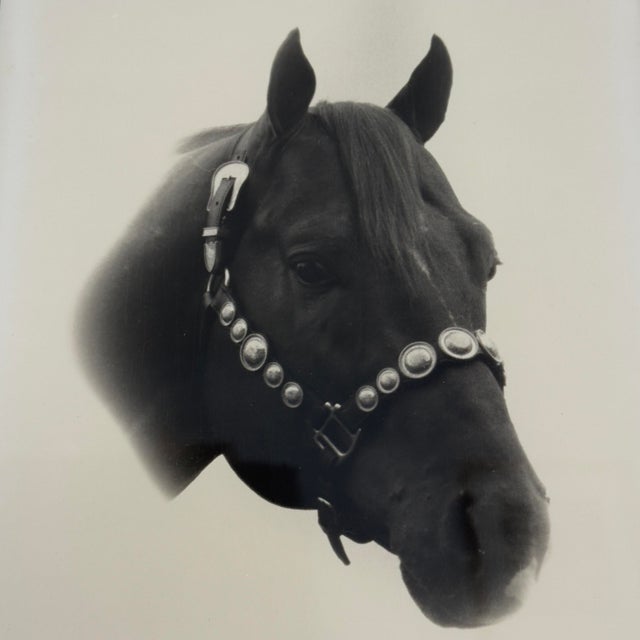 Approx. 12 by 15 inches A matching companion Bob Belgum horse photograph is also available.