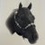 Approx. 12 by 15 inches A matching companion Bob Belgum horse photograph is also available.