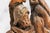 Rustic European Wonderful Continental Polychrome Antique 18th Century Carved Wood Statue Sculpture Warrior Man Old World European Decor For Sale - Image 3 of 16
