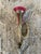 Traditional Antique French Horn Christmas Ornament For Sale - Image 3 of 6
