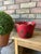 1950s-70s Chinoiserie Red Toleware Cachepot or Jardiniere For Sale - Image 15 of 15