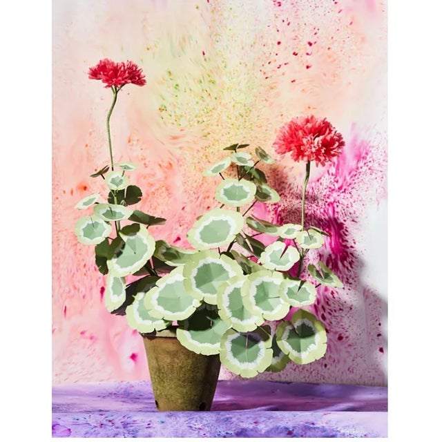 Paper Geranium plant with hand painted leaves and 2 blossoms in a beautiful aged terra cotta pot. Pictured here in salmon...