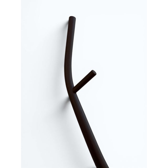 Tree Coat Stand by Marcantonio for Opinion Ciatti, 2000s For Sale - Image 6 of 9