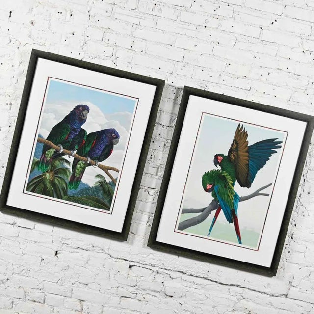 Gorgeous vintage Dallas E. John limited edition Imperial Mates & Military Macaws hand signed fine art serigraph parrots...