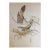 1840s Gould's Crested Pigeon Lithograph From Birds of Australia For Sale