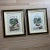 Mid 20th Century Trowbridge English Botanical Engraving Prints of Cyclamen- A Pair For Sale - Image 5 of 6