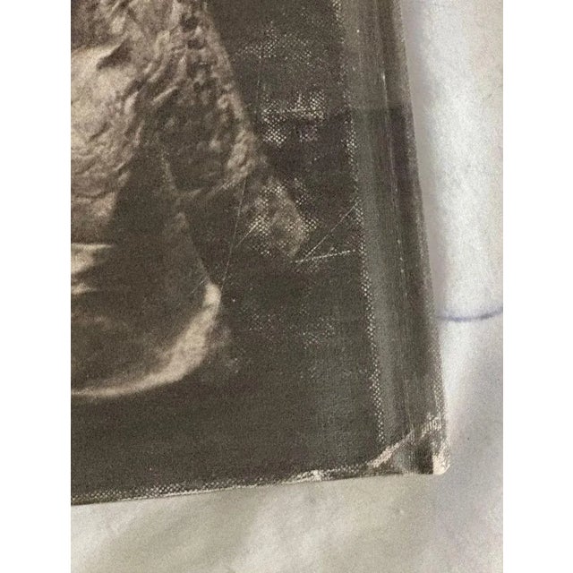 Herb Ritts Autographed Book "Notorious" Dated '93 and Signed a by Herb Ritts For Sale - Image 6 of 9