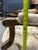 Pair of 19th Century Louis XVI Style Tapestry-Upholstered Giltwood Bergères For Sale - Image 11 of 12