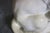 White Pair Large White Glazed Ceramic Figures of Entryway Lions Paws Raised on Shield For Sale - Image 8 of 12