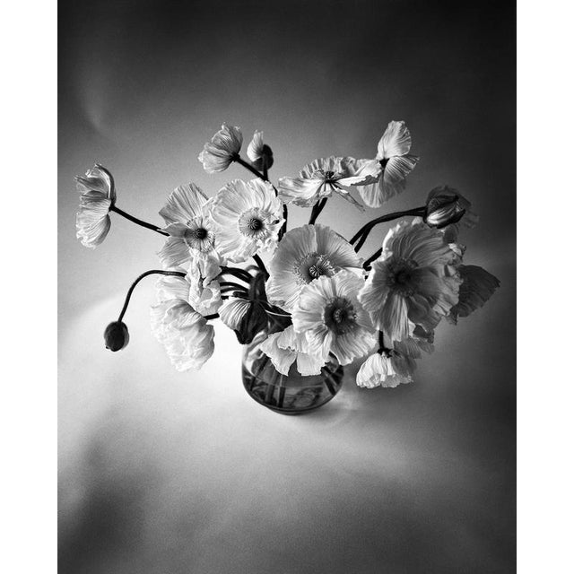 Poppy Bunch - Black and White Floral Photography, Limited Edition 2 of 20 2024 For Sale - Image 4 of 4