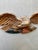 1950s Folk Art Mid-Century Artistic Carving Co. Louisburg Wood Eagle Plaque Bellamy Style Americana Wall Sculpture For Sale - Image 10 of 16