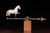 Wood Antique Zinc Horse Weathervane Topper For Sale - Image 7 of 7