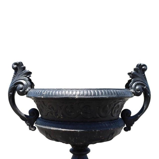 An impressive antique classical garden urn, crafted from cast iron, dating to approximately 1900. This substantial outdoor...