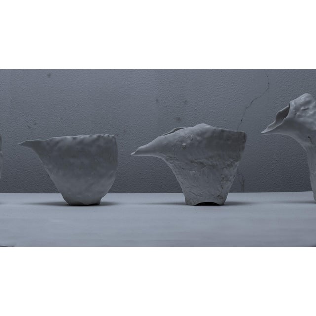 "Beak" is a series of porcelain pourers inspired by birds. The curved line of the beaks changes color, length, thickness...