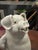 Up for consideration is a beautiful vintage Fritz and Floyd white ceramic piggy pitcher. This would look lovely in your...