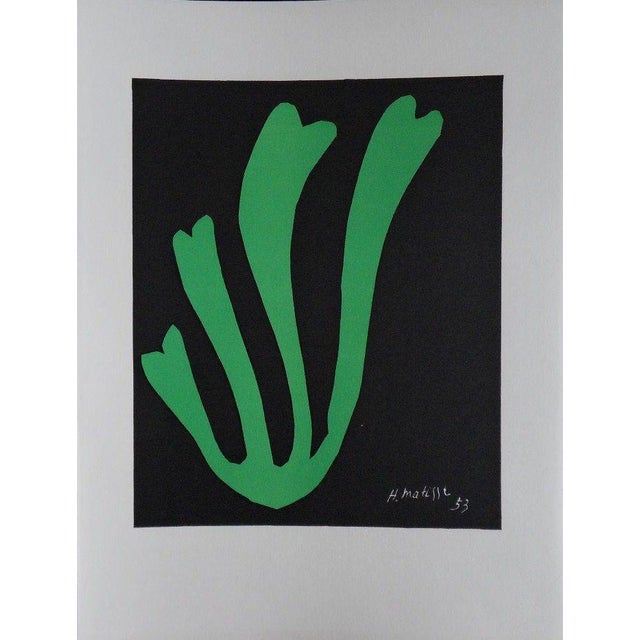 Modern Henri Matisse, Fern, Original Signed Lithograph For Sale - Image 3 of 3