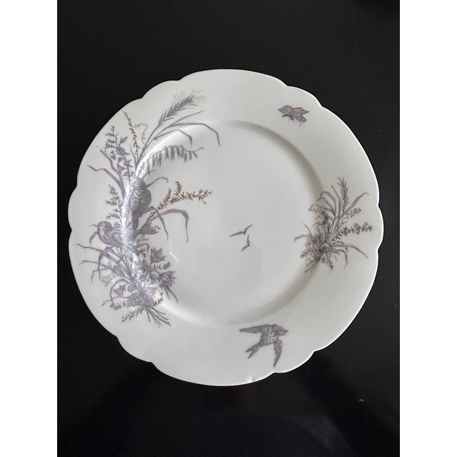 Porcelain Plates and Platter by Ch Pillivuyt & Cie, 1890s, Set of 8 For Sale - Image 11 of 17