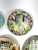Antique French Asparagus Wall Plates - Gallery Wall - Set of 5 - Including Longchamp & Onnaing For Sale In Buffalo - Image 6 of 12