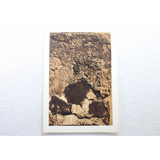 Klaus Littmann, Composition, 1972, Lithograph For Sale - Image 9 of 11