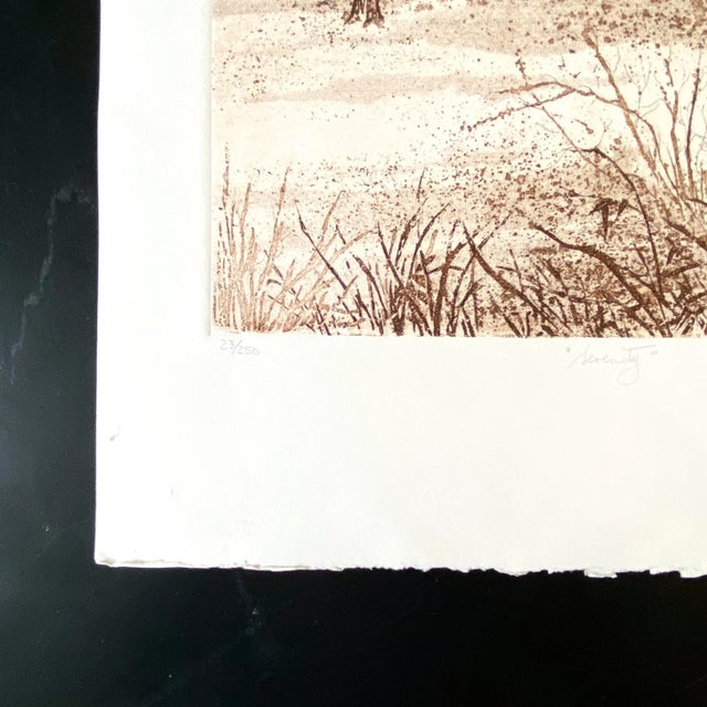 Vintage "Serenity" 23/250 Aquatint Print by Barbara Domroe For Sale - Image 4 of 5