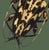 The series was produced by CFA editions from original pochior prints by E.A. Seguy. The series of insects that Seguy...