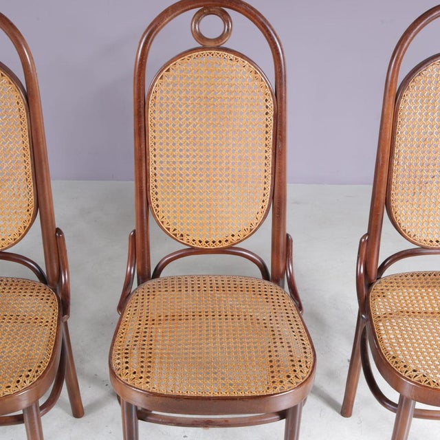 Long John Chairs from FMG, Poland, 1950s, Set of 4 For Sale - Image 6 of 9