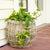 Tan Artifacts Rattan Round Belly Planter with Black Plastic Insert, Natural, 13" For Sale - Image 8 of 9