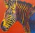 Contemporary Andy Warhol Estate Vintage 1992 Endangered Species Lithograph Print " Grevy's Zebra " 1983 For Sale - Image 3 of 9