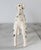 Vintage Lefton Dalmatian Figurine For Sale - Image 9 of 11