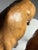 Leather Decorative Statues of Dromedaries, Set of 2 For Sale - Image 10 of 17