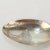 Early 20th Century Antique Cawston Ostrich Farm California Sterling Silver Souvenir Spoon For Sale - Image 5 of 7