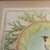 Green Cedar Waxing Birds Giclee Print Tamlyn Akins Soft Pastel Colors Mat Framed 13x17 For Sale - Image 8 of 16