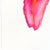 Rainbowland Daylily - Original Blue and Yellow Floral Watercolor Painting on Paper by Xiao Wen Xu For Sale In Los Angeles - Image 6 of 6