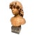 19th Century French Terracotta Bust of a Young Boy, 1890 For Sale