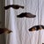 Wood Flat Corrugated Leaf Pendant Light in Teak For Sale - Image 7 of 18