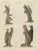 Bertuch, Black and Green Woodpeckers with Nuthatch, 1805, Print For Sale - Image 12 of 12
