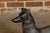 J.W Fiske Iron Greyhound Dog Sculptures, Late 19th Century New York, a Pair For Sale - Image 12 of 12