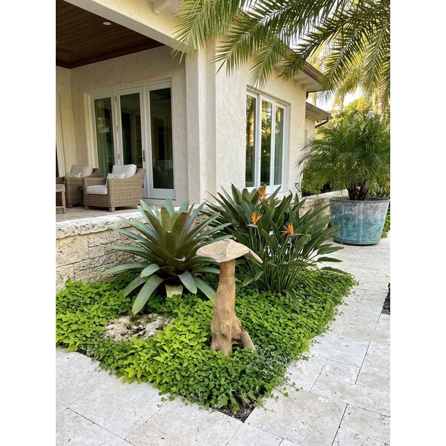 Whimsical Hand-Carved Teak Root Mushroom Garden Sculpture For Sale - Image 9 of 12
