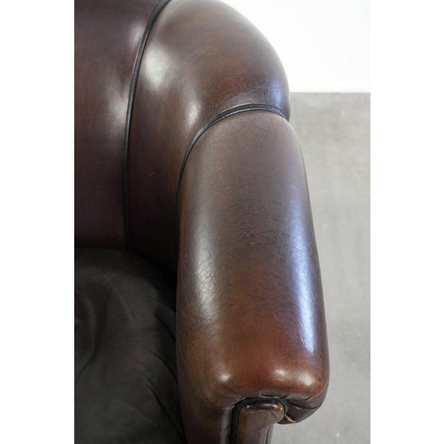 Brown Club Chair in Dark Sheepskin Leather For Sale - Image 8 of 14