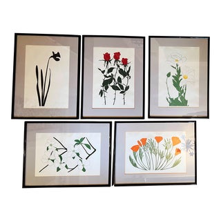 1970s Henry Evans Signed and Numbered Original Botanical Posters, Framed - Set of 5 For Sale
