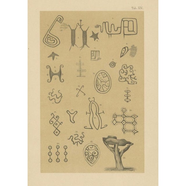 Late 19th Century After Karl Martin, Aruba Petroglyph Symbols, Fontein Cave, Ethnographic Plate, 1888, Print For Sale - Image 5 of 10