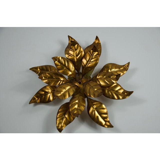 Florentine Flower Shape Wall Lamp by Hans Kögl, 1960s For Sale - Image 6 of 12