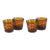 Sahara Tortoise Tumbler, Set of 4 For Sale