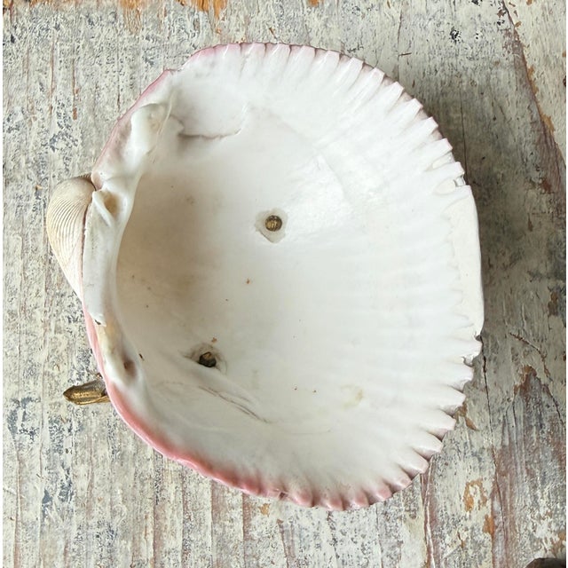 Mid 20th Century French Scallop Shell on Brass Pedestal Seahorse Base For Sale - Image 5 of 8