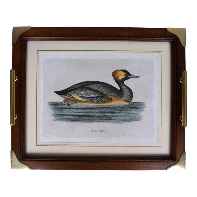 Abercrombie & Fitch Eared Grebe Litho Brass Handle Cocktail Tray Made in Italy For Sale