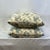 Kathryn Ireland “Paisley Stripe” Feather/Down Pillows - A Pair For Sale - Image 4 of 4