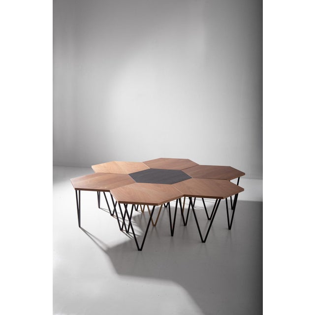 Hexagonal Coffee Table from Isa Bergamo, Set of 7 For Sale - Image 13 of 17